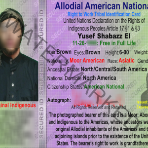 Allodial American National Right to Work Tribal Identification Card
